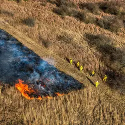 January 2020 (The Wilds)